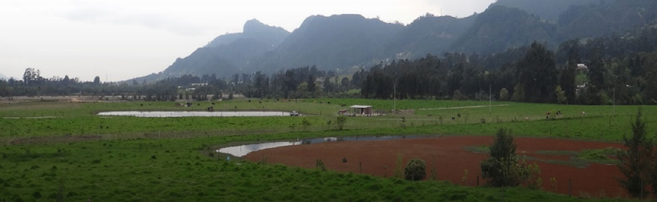 Seguimiento de la ANLA a proyectos en Casanare y Cundinamarca