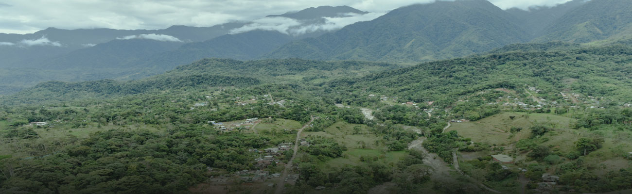 Gestión del conocimiento, piedra angular del desarrollo sostenible en las regiones