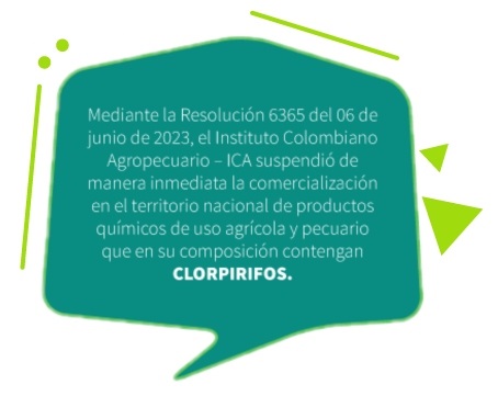 Infografía descriptiva que muestra el proceso para la prevención de riesgos en abejas