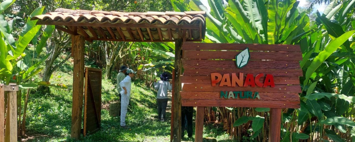 Imagen de Fachada de Territorio Panaca