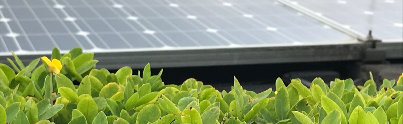 panel solar